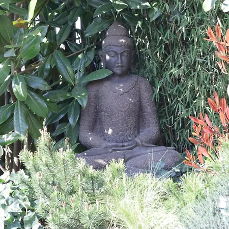 Dreams And Wellness-3