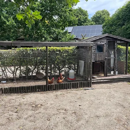 Family Farmhouse With Go-Karts-3