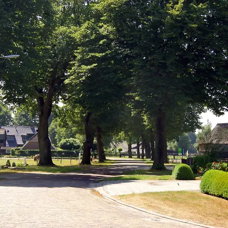 Hotel De Koekoekshof-3