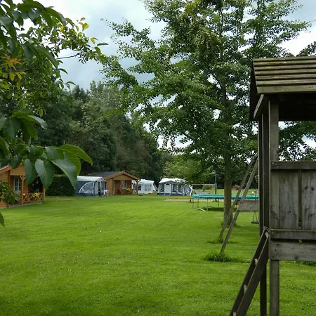 B&B Warnstee-2