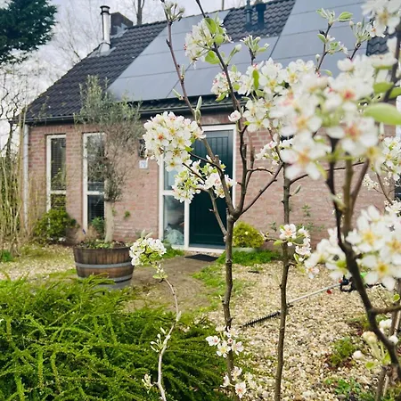 Huisje Hygge - luxe bungalow met grote tuin-3