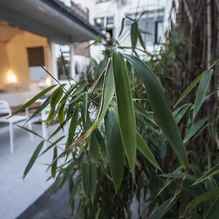 Tiny House Madame Jeanette nabij centrum en zee-3