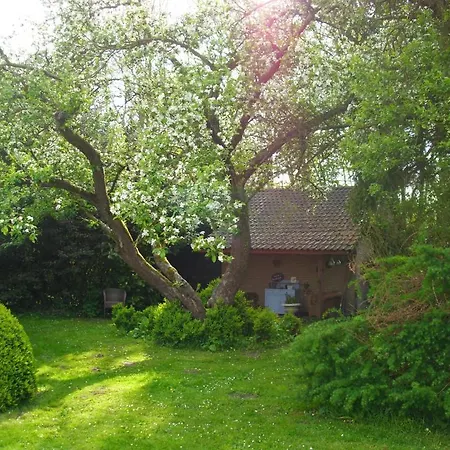 B&B De Houtwal-3