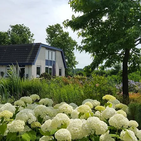 B&B Bovenweg-3