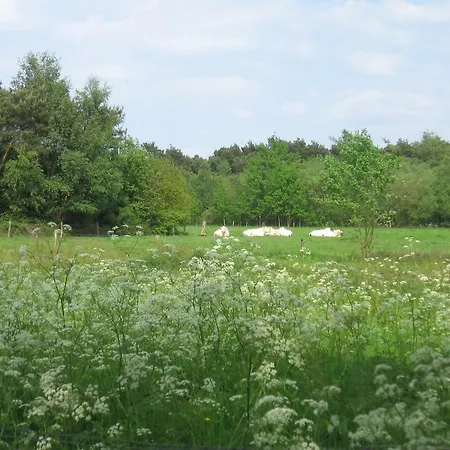 De Zandkant-2
