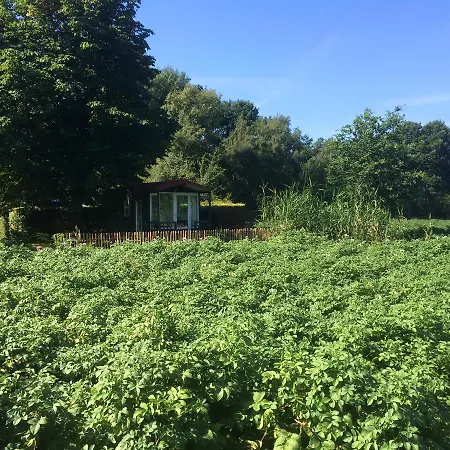 B&B De Voshaar-2