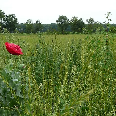 Gasterij Landschot-2