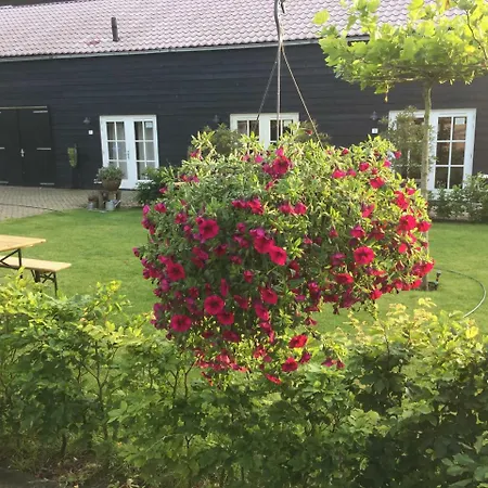 Bed & Breakfast Opperdoes-3