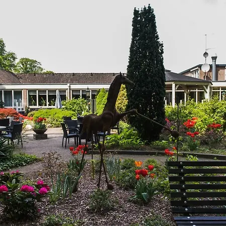 Villa Nova-2