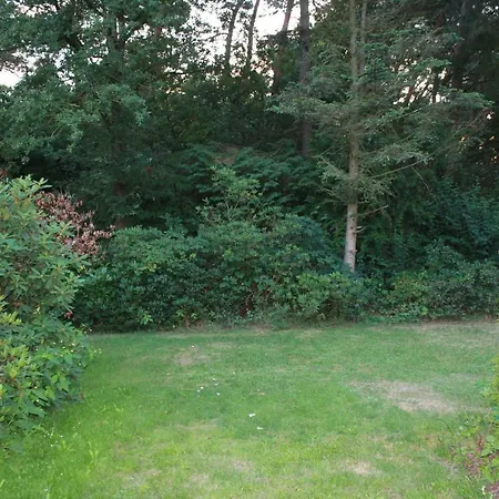 Knusse Bungalow Otterlo Veluwe-3