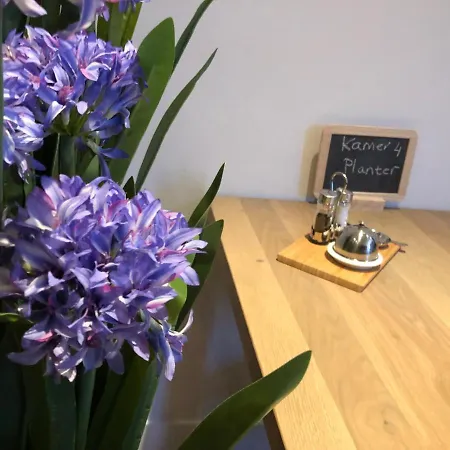Boetiek Hotel Van Schagen-2