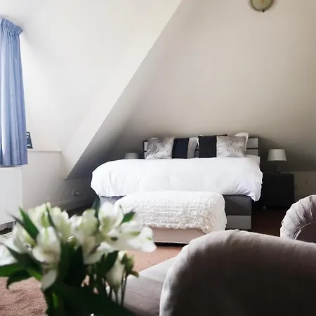 B&B Schiphol Airport-2