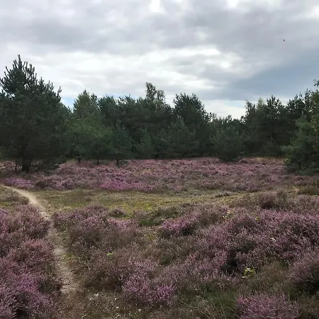 Hoeve Den Anholt-3