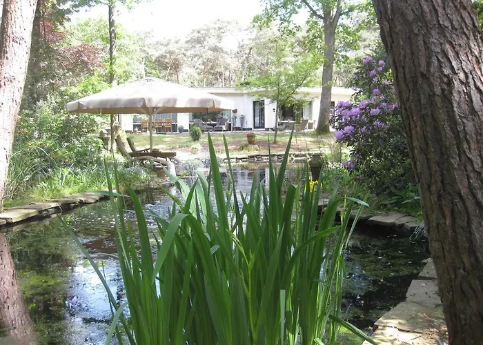 Bosgeluk Bed and Breakfast Helmond, Nederland
