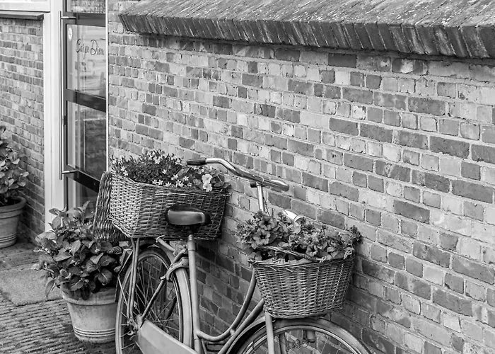 B&B Carpe Diem Hulst, Nederland