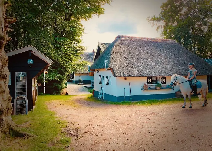 Bakhuisje op de Veluwe Heerde, Nederland