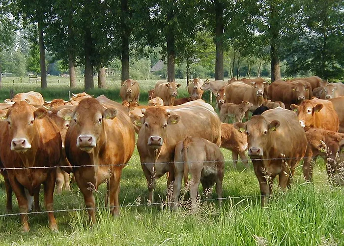 De Donkhoeve