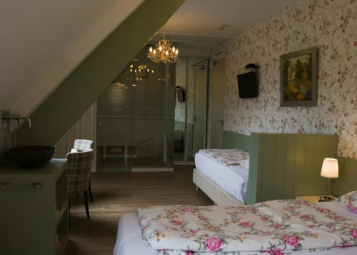 B&B De Strandhoeve Giethoorn, Nederland