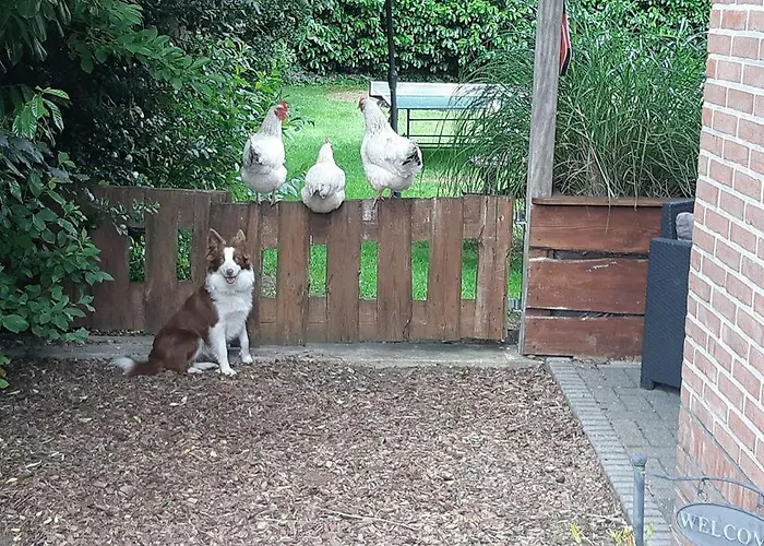 B&B Nieuwleusen