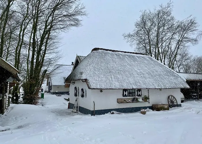Bakhuisje Op De Veluwe