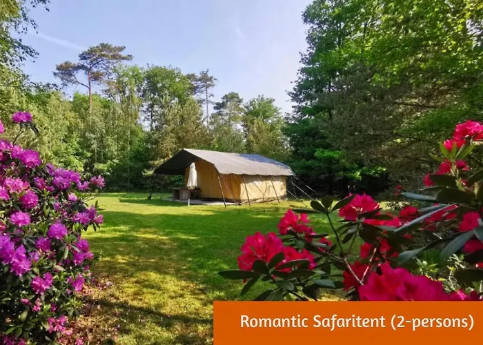 Glamping In Nature By Outdoors Holten, Nederland