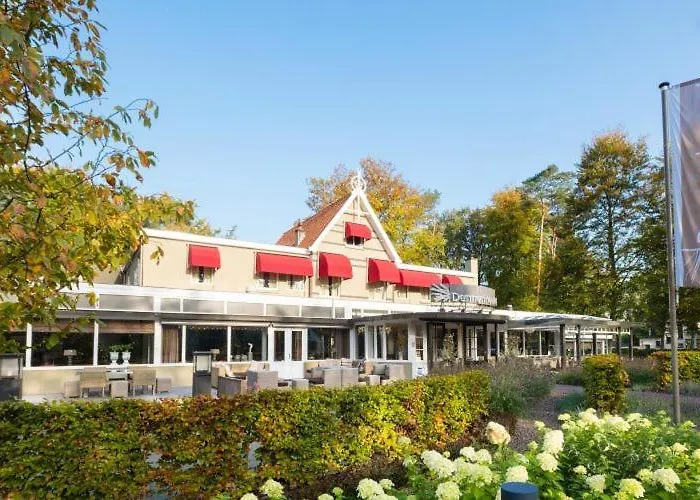 Dennenheuvel