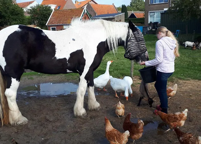 Chalets op Minicamping Dorpszicht Gapinge, Nederland