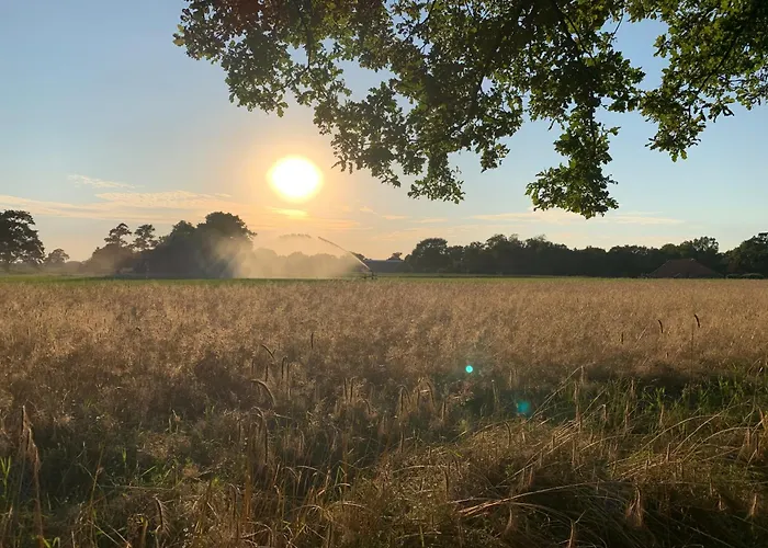 De Hiddinghhoeve Onstwedde, Nederland