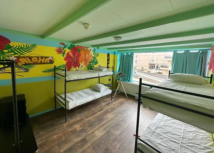 The Flying Pig Beach Hostel Age 18 To 40 Noordwijk, Nederland