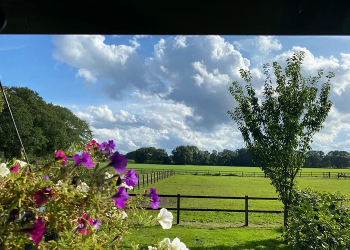 Erve Het Roolvink Boerderij Appartementen 40-50 M2