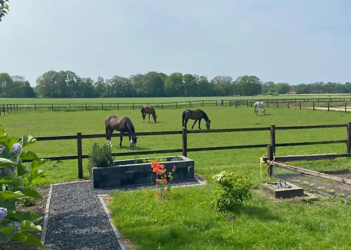 Erve Het Roolvink Boerderij Appartementen 40-50 M2 Enschede, Nederland