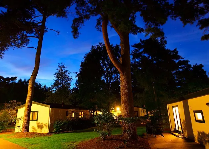 Roompot Bospark De Schaapskooi Epe, Nederland