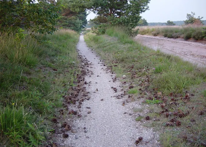 Herberg de Roskam Uffelte, Nederland