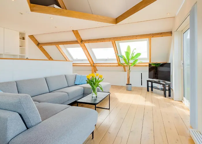 Zon Modern