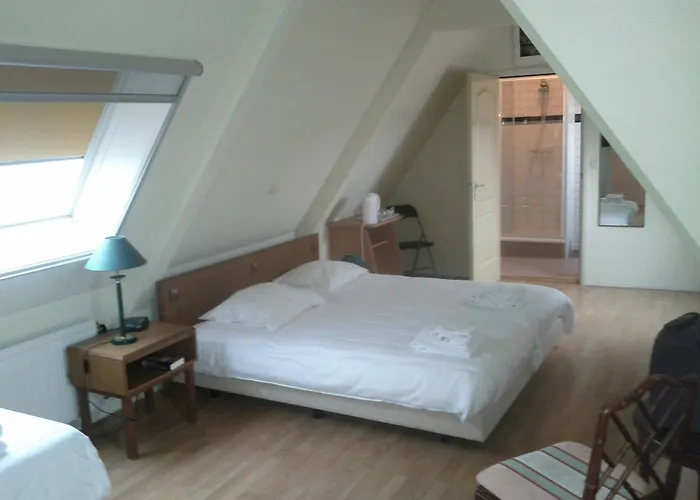 De Gouden Karper Hotel Rustenburg, Nederland