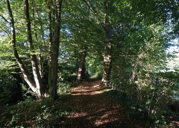 B&B aan het bos