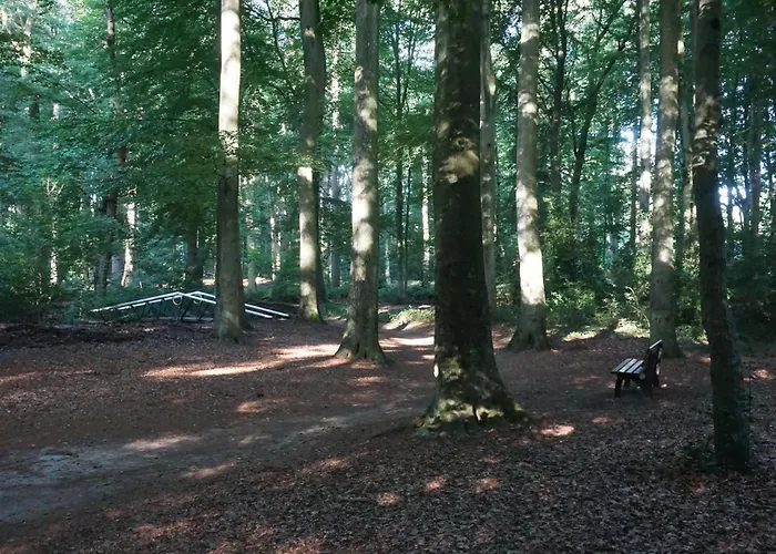 B&B aan het bos Ter Apel, Nederland