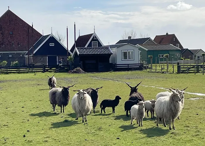 Welcome By Bianca Jisp, Nederland