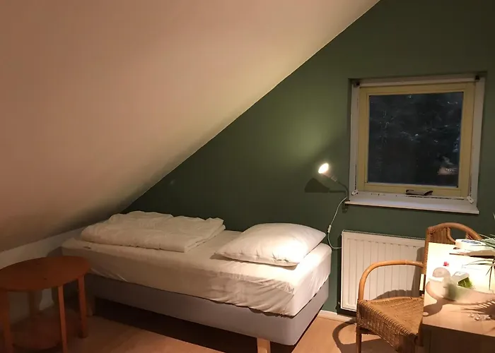 Vakantiewoning Tjiftjaf In Het Fonteinbos