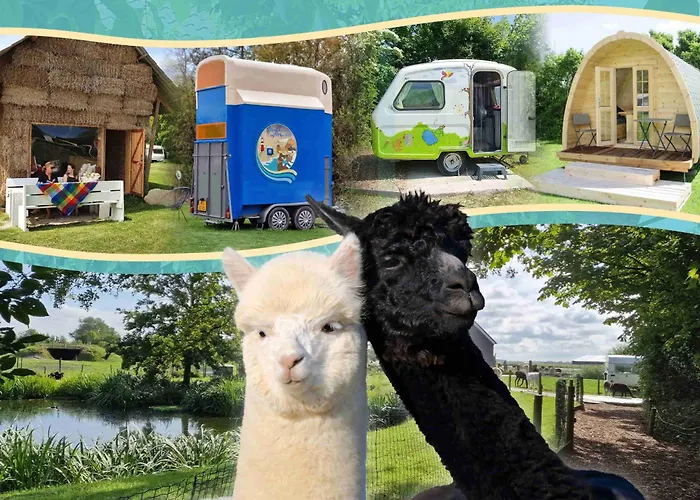 Minicamping Aan de Waterspiegel