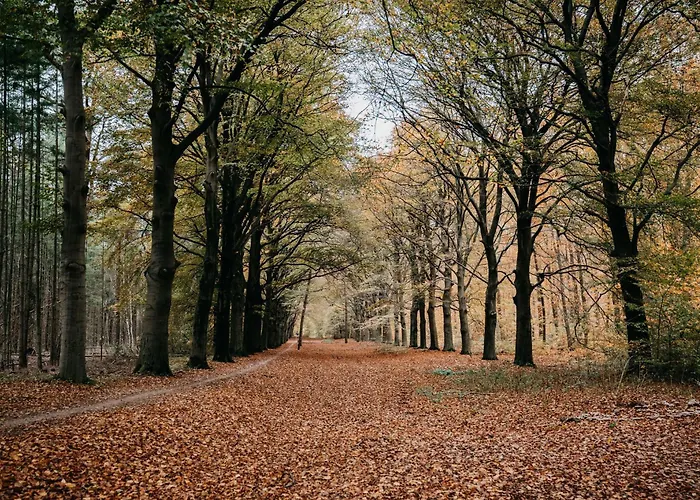 De Kastanjehof Hotel Lage Vuursche, Nederland