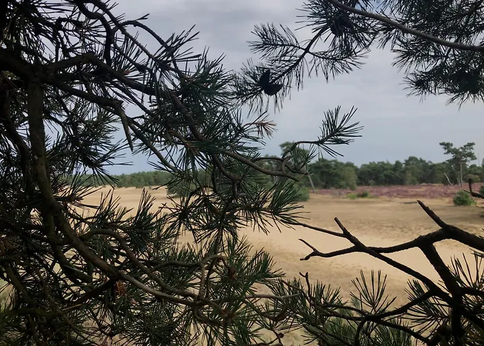 Het Natuurhuisje op de Veluwe Nunspeet, Nederland