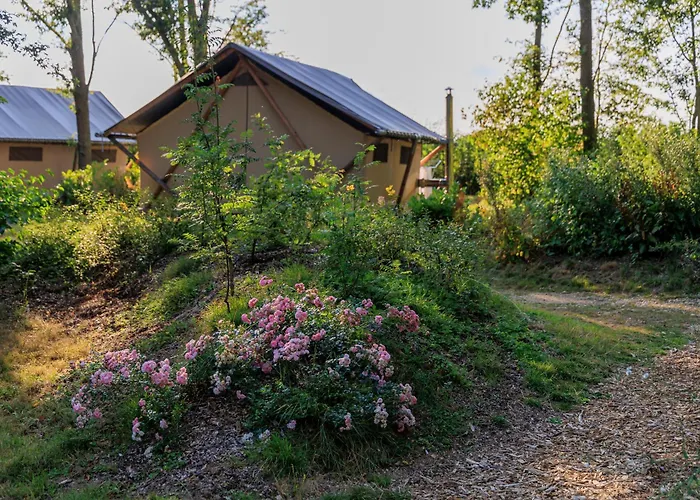 Camping Valkenburg - Maastricht Valkenburg aan de Geul, Nederland