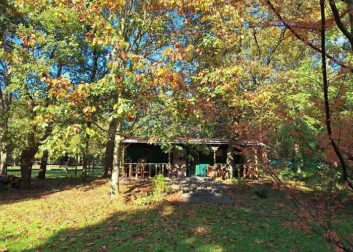 Villa Berk en Heide