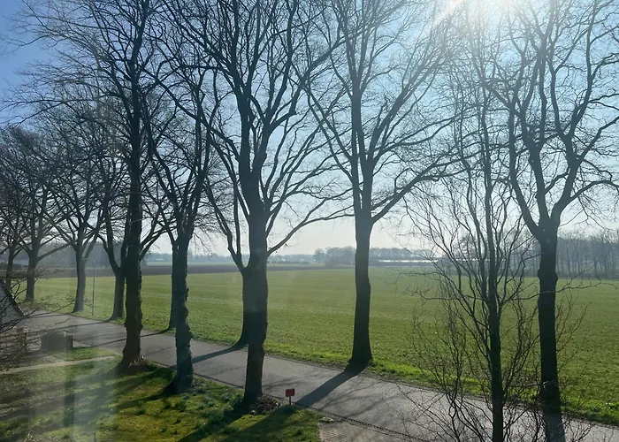 Brinkesdiek Hardenberg, Nederland
