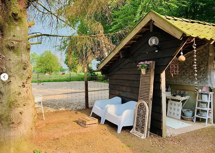 Bakhuisje Op De Veluwe