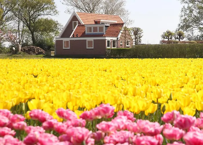 Bungalow Callantsoog