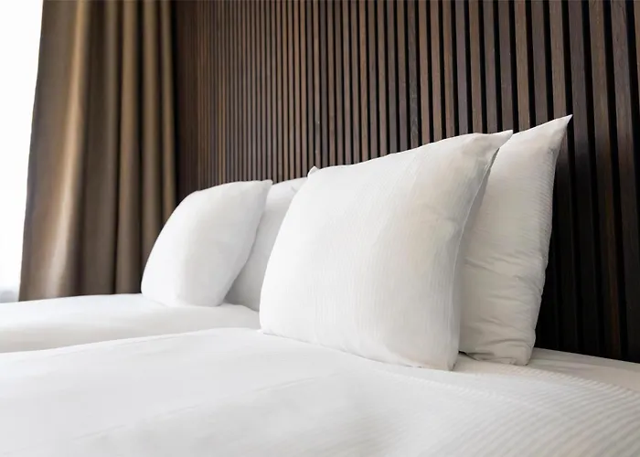 Flonk Hotel Groningen Centre, BW Signature Collection, Nederland