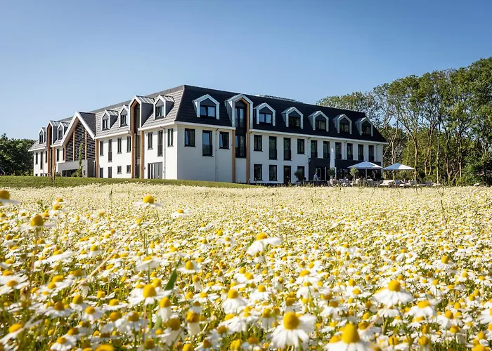 Het Eilandhotel De Cocksdorp , Nederland