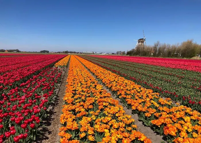 De Zwarte Ruiter